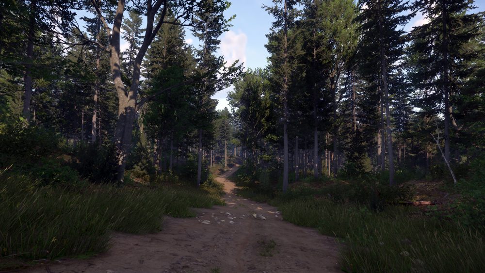 Kingdom Come Deliverance 2