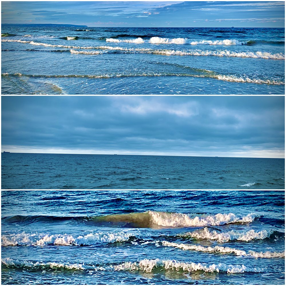 Binz auf Rügen