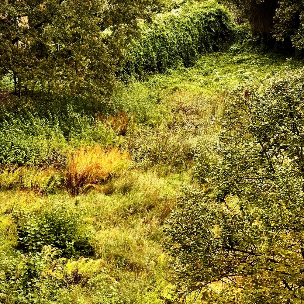 Herbstmomente – leise Zeichen des Wandels