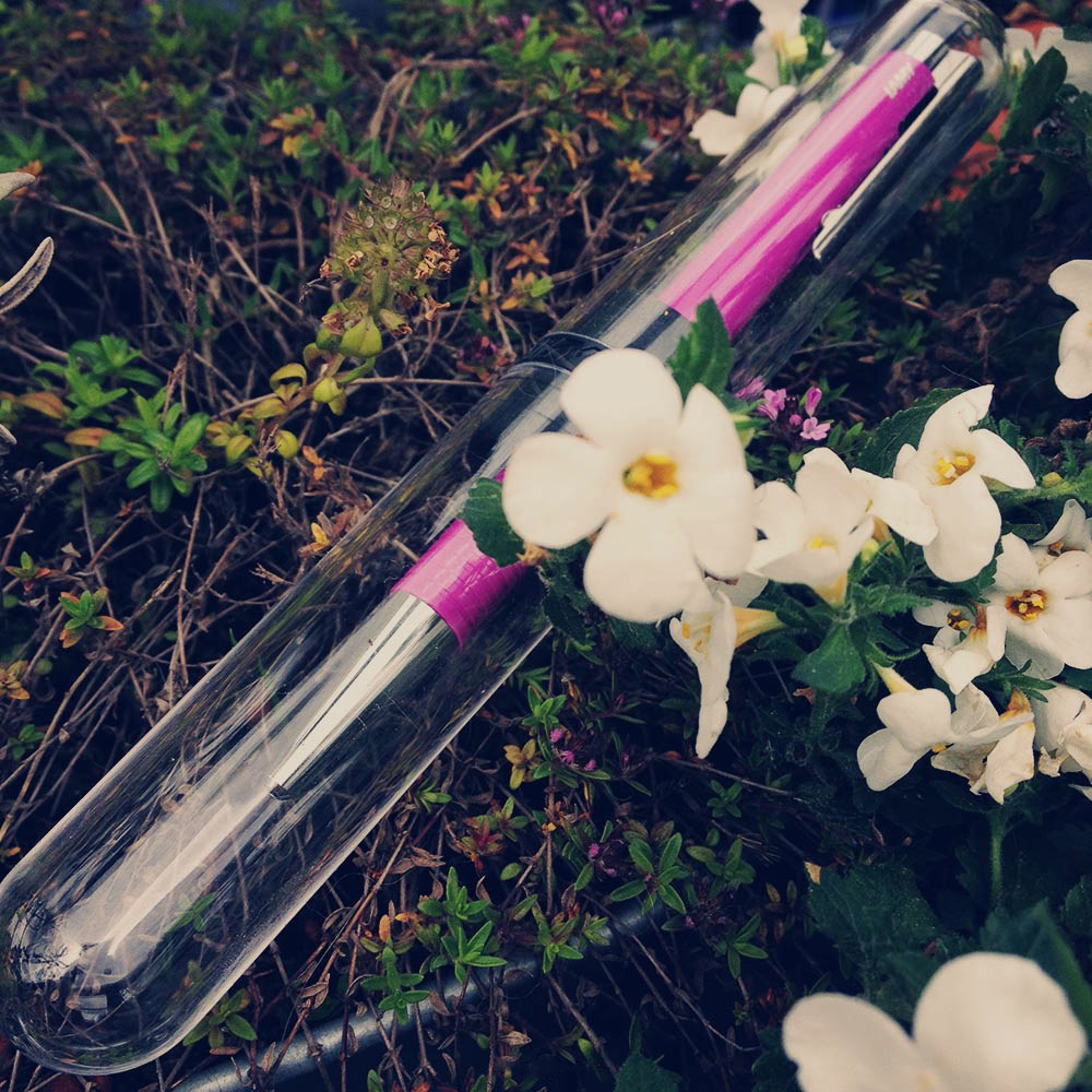 LAMY logo M+ violet: Schneewittchen im Stiftetui