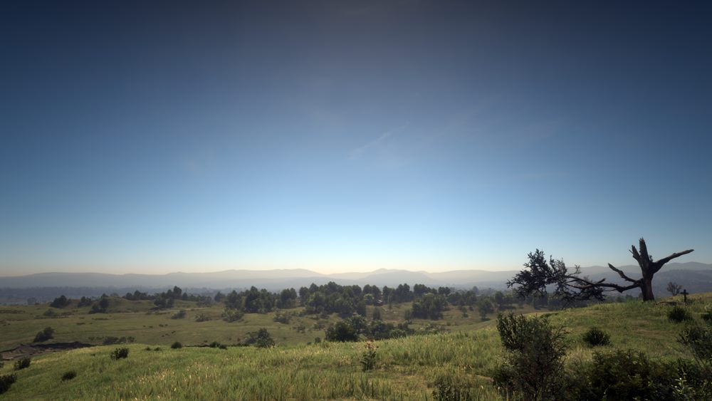 Weite Ebene in Red Dead Redemption 2