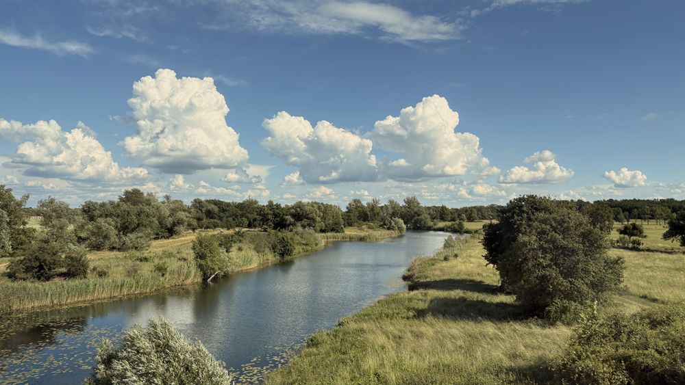 Waldlandmeer ist online